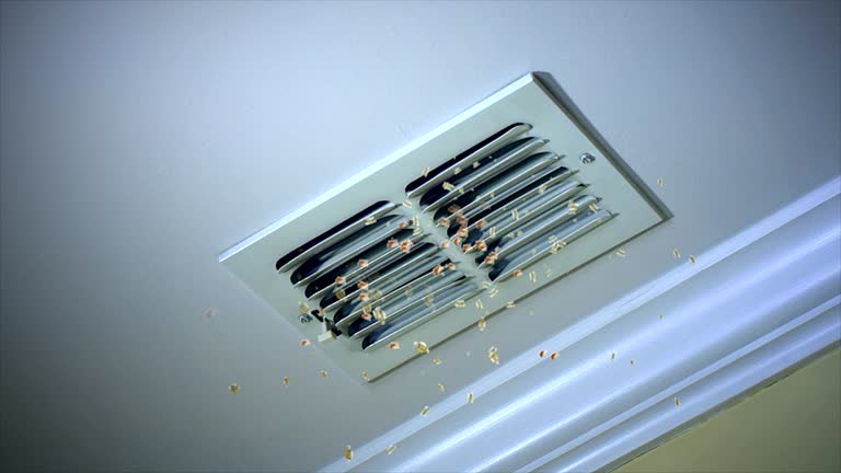 Best Duct Cleaning for Homes  in Burr Ridge, IL