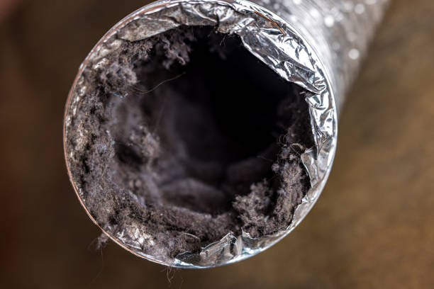 Best HVAC Maintenance and Cleaning  in Burr Ridge, IL